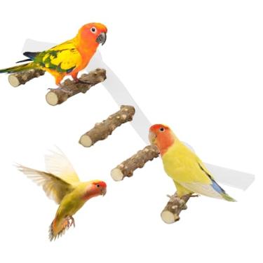 Imagem de Poleiro de pássaro, poleiro de papagaio,Playstand para Cockatiel - Pedra de pó da xícara para economia de pássaro, gaiola de pássaro poleiro para o parrot periquito cockatiel conure