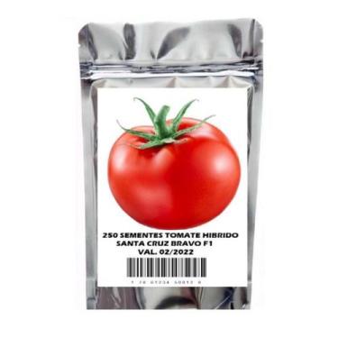 Imagem de Tomate Híbrido Sta Cruz Bravo F1 Original - 250 Sementes - SEEDS