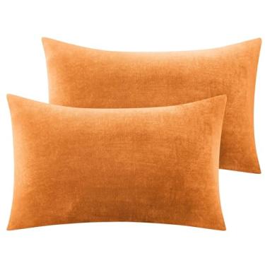 Imagem de BEDELITE Conjunto de 2 fronhas de flanela king size, fronhas de lã super macias com zíper para quarto, sofá, sofá, luxuosa, aconchegante, felpudo, veludo, fronhas para todas as estações (50 x 91 cm