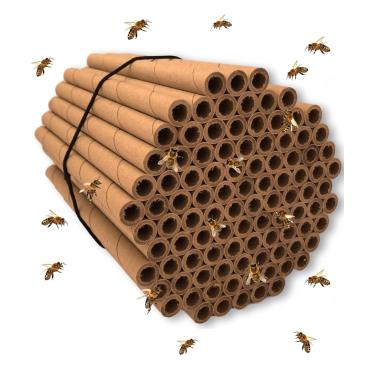 Imagem de Tubos de abelha Mason | Pacote com 100 tubos de 15 cm de comprimento por 5/16 de diâmetro interno para casa de abelha de papelão | Ótimos refis ou inserções/forros de papel para uma casa B,