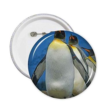 Imagem de Muitos pinguins antárticos natureza ciência imagem pinos crachá botão emblema decoração acessório 5 peças