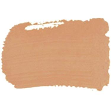 Imagem de TINTA FOSCA P/ARTES. 100ML ACRILEX SALMAO 518