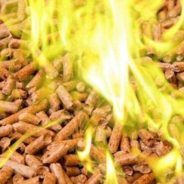 Imagem de Kit 2 Sacos 10KG ecofire Pellet Lareira Para Fogueira Forno De Pizzari