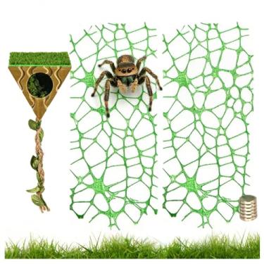 Imagem de QZAVIRE Esconderijo de aranha saltadora com ponte de corda e plataforma de escalada, habitat magnético oculto impresso em 3D para aranhas saltadoras e tarântulas, acessórios divertidos para descanso