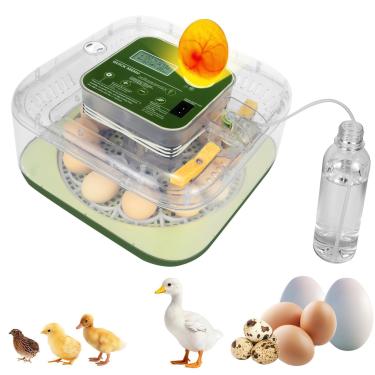 Imagem de ZEMIRO CHARGE Incubadora de 12 ovos com giro automático e controle preciso de umidade, janela de visão clara de 360° para chocar galinha, pato, ganso, codorna e ovos de pombo - verde