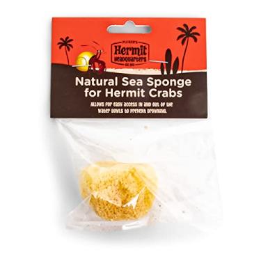 Imagem de Esponja marinha natural Flukers para caranguejo eremita, 1 por pacote
