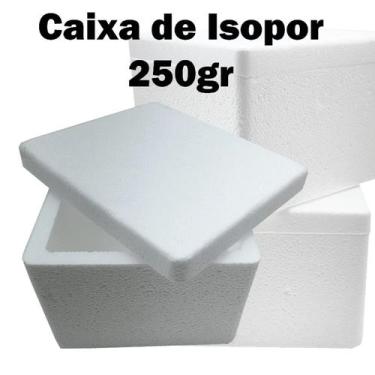 Imagem de Caixa de isopor com 10 unid, 250gr ideal para viagem, sorvete e congel
