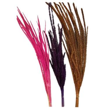 Imagem de Flor de Napier - Inspira Flora, Alvejado