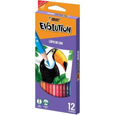 Imagem de Lapis de Cor Evolution Sextavado 12 Cores Bic