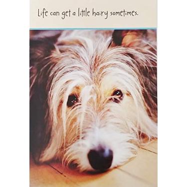 Imagem de Life Can Get A Little Hairy Sometimes - Sorry Things Are So Ruff - Cheer Up Here For You Difficult Time Things Will Get Better Greeting Card with Terrier Dog