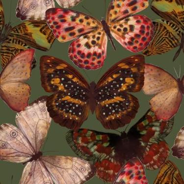 Imagem de VaryFloral Papel de parede borboleta de 45 x 398 cm, papel de parede vintage verde inseto decorativo papel de contato com borboletas coloridas para prateleira de armário mural de parede removível para