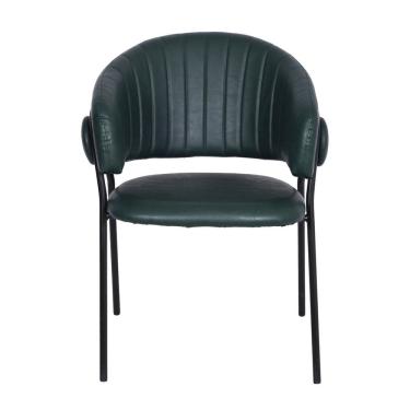 Imagem de Cadeira para Sala de Jantar Base em Metal Tatra Verde