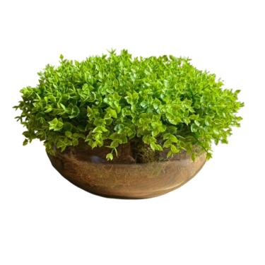 Imagem de Arranjo Grande Centro de Mesa Vaso Incolor com Verdinho