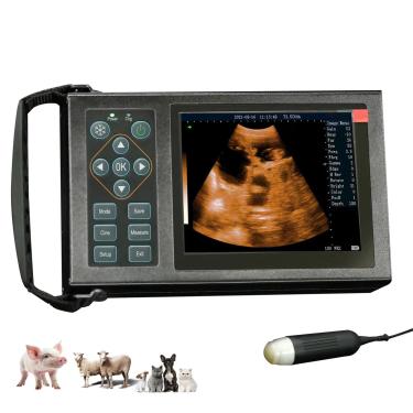 Imagem de Ruisheng M10 Scanner de ultrassom portátil veterinário com sonda de setor mecânico de 3,5 MHz para teste de gravidez de porcos, ovelhas, cães e gatos