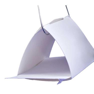 Imagem de Armadilha Jackson Completa Para Moscas Das Frutas - Bio Controle