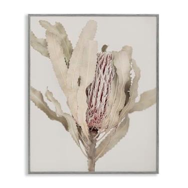 Imagem de Stupell Industries Arte giclée emoldurada preta com bordas botânicas de Banksia ocultas, design de Sisi e Seb, 76 x 61 cm