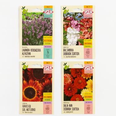Imagem de Kit 4 sementes de flores, Lavanda, Balsamina, Girassol Noturno e Dália Anã, jardim em casa, jardinagem amadora e profissional, vaso, floreira