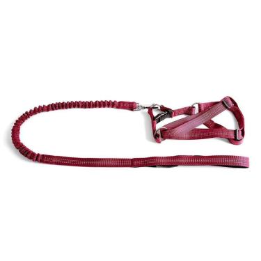 Imagem de Coleira - Guia Flexível Com Peitoral Tamanho P Vermelho