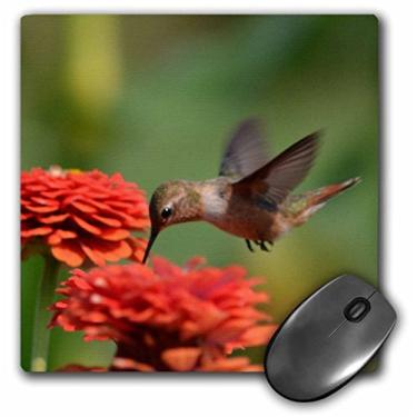 Imagem de 3dRose Mouse pad LLC 20,3 x 20,3 x 0,63 cm, Zinnias laranja e beija-flor (mp_63595_1)