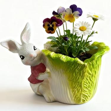 Imagem de KEEPPACE Vaso de resina de repolho segurando coelho de 14 cm – Vaso de suculentas Lucky Bunny com orifício de drenagem, presente de jardim de animais fofos 3D para casa, Páscoa, Dia das Mães