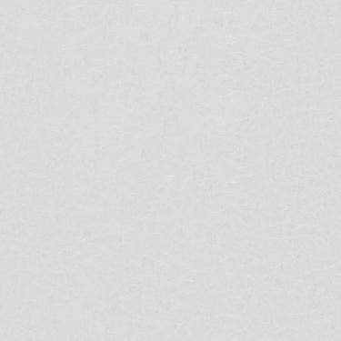 Imagem de Papel De Parede Ivy Textura Off White 6805-20