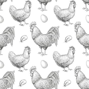 Imagem de HelloWall Descasque e cole papel de parede rústico de galinhas removível à prova d'água vinil galinha ovo de galinha papel de parede fácil de cortar 44,5 cm x 998 cm