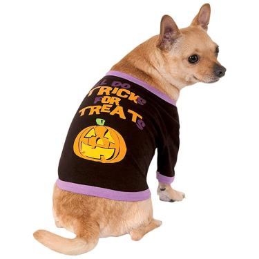 Imagem de Fantasia Moletom Halloween Para Cachorros
 P