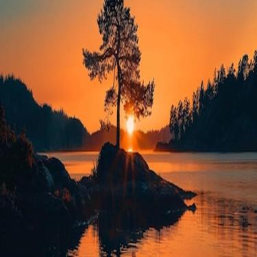 Imagem de Quadro Decorativo Silhouette de Árvore e Água - Arte Moderna para Pintura de Parede Tamanho 30x30cm