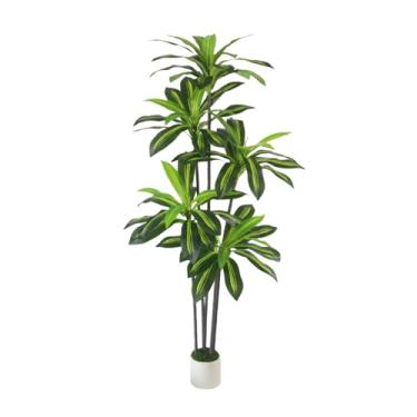 Imagem de Árvore Dracaena artificial de 1,8 m com vaso branco - Árvore de mandioca falsa com tronco realista e folhas em vaso para decoração de sala de estar e escritório em casa