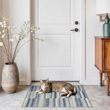 Imagem de Alfombra Jinchan Azul Ultra Fina Antideslizante 61x91 cm para Interior