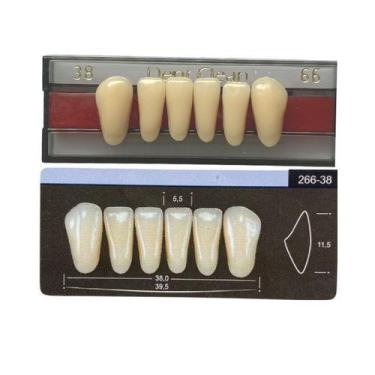 Imagem de Dente Dent Clean Anterior 38 Inferior - Imodonto