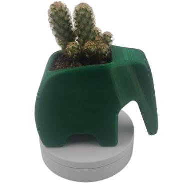 Imagem de Vaso De Plantas Suculentas Elefante (Verde, Pequeno)
