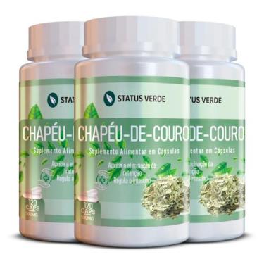 Imagem de 3 Potes Chapéu de Couro Natural Kit 360 Cáps de 500mg - Suplemento Nat