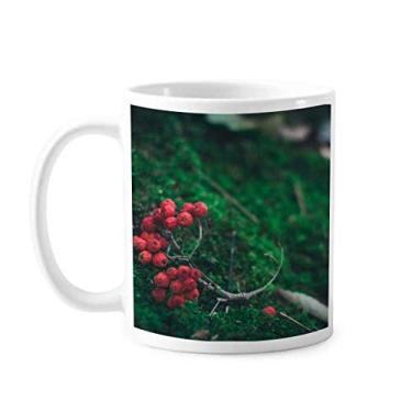 Imagem de Caneca de cerâmica para café e porcelana da natureza da ciência florestal de frutas vermelhas