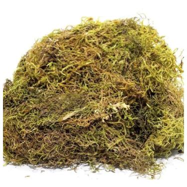 Imagem de Artesanal Musgo Verde Desidratado Decoração de Arranjos Flores 1 litro