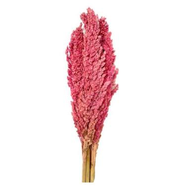 Imagem de Buquê Capim Flor Sorgo Secos Arranjo Desidratado - Inspira Flora, Rosa