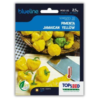 Imagem de Semente de Pimenta Jamaican Yellow Blueline TOPSEED