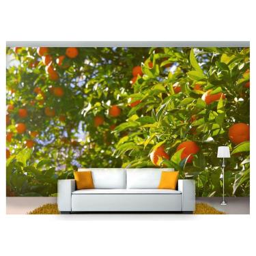 Imagem de Papel De Parede Frutas Cítricas Pé De Laranja  Al222