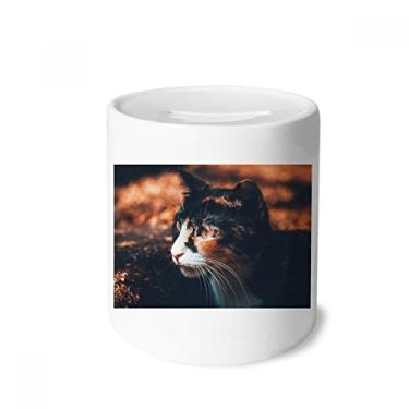 Imagem de DIYthinker Caixa de dinheiro marrom com perfil de olho de gato vintage caixa de cerâmica porta-moedas presente de cofrinho