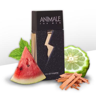 Imagem de Animale for men eau de toilette 50ML