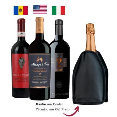 Imagem de Combo 3 Vinhos Tintos + Brinde Cooler Térmico Preto - Várias Marcas