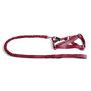 Imagem de Coleira - Guia Flexível Com Peitoral Tamanho P Vermelho