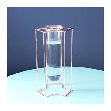 Imagem de Vaso de decoração de casa estilo nórdico ornamentos de luxo luz para casa vaso de vidro hidropônico pequeno arte de ferro flores secas mesa de jantar decoração macia vaso de flores (cor: A1) (D4)