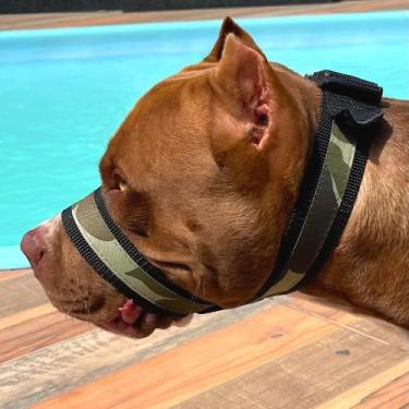 Imagem de Focinheira Tática Militar Moderna Super Confortável E Segura Dogvix, P