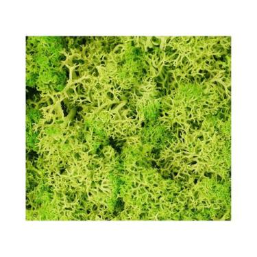 Imagem de Mini Plantas Verdes Artificiais Musgo Da Vida Eterna Decoração DIY Par