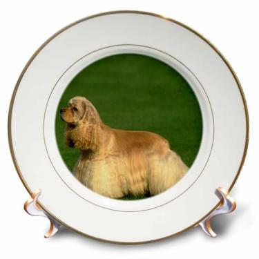Imagem de 3dRose Cocker Spaniel - prato de porcelana, 20,32 cm, 20,32 cm, branco