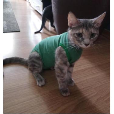 Imagem de Roupa Macacão Pós Cirúrgico para Gatos - King Of Pets, 03, Branco