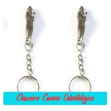 Imagem de Chaveiro Metálico Canino Odontológico - 1 Unidade - D-Express