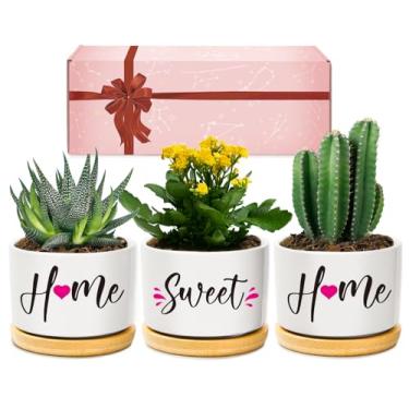 Imagem de AceThrills Presentes de aquecimento de casa nova - 3 potes de suculentas de 8 cm com bandeja de bambu, presentes de inauguração de casa, novas ideias de presentes para casa, kit inicial de plantas