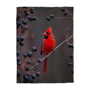 Imagem de Mugod Manta de pássaro vermelho pássaro cardeal do norte no galho da árvore decorativo macio quente aconchegante flanela pelúcia cobertores para bebês bebês cães e gatos 76 x 101 centímetros